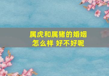 属虎和属猪的婚姻怎么样 好不好呢